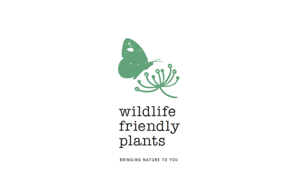 Pier Creative, Wildlife Friendly Plants